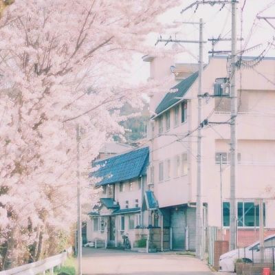 蓝颜清梦台服下载