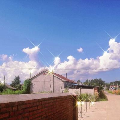 出道拜托了测试版下载